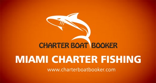 Some charter boats specialize in family fishing where you can enjoy using some of the best fishing tackle ever designed for offshore 

angling. These charters offer high-end, custom built fishing gear that is easy to use. The gear is durable enough to handle any big 

fish you might hook. Private Fishing In Miami Charter are available particularly for families that would like to stay close to the 

shores but without the supervision of the captain and crew. Try this site https://www.charterboatbooker.com/location/united-

states/florida/miami-fishing-charters/ for more information on Fishing In Miami.
Follow Us : http://www.spoke.com/companies/clearwater-deep-sea-fishing-charters-boats-57f3811c2c53a5f0f50113c2
