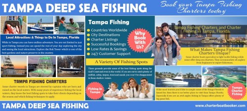 One of the most common types of Destin Deep Sea Fishing is via boats. It is a terrific aid for fishers who want to see more of the location as well as locate far better catches. One of the best features of fishing is its capacity to allow people do their selected task in a certain location. Without the demand for transferring, people can aim to catch the very best fish in a solitary location. However, lots of fishers intend to try a higher challenging fishing activity like Destin Deep Sea Fishing. Being one of the prime areas for fishing, it has great deals of fishing solutions to provide their clients. Check this link right here https://www.charterboatbooker.com/location/united-states/florida/destin-charter-boats/ for more information on Destin Deep Sea Fishing.
Follow Us : http://clearwaterdeepseafishingchartersboats.2fl.co/
