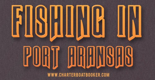 Pop over to this web-site https://www.charterboatbooker.com/location/united-states/texas/port-aransas-fishing-charters/ for more information on Port Aransas Fishing Charters. Whenever and where ever you travel, it is important to take the right steps when choosing a good fishing charter. There is Port Aransas Fishing Charters that offers the opportunity of enjoying eco-tourism adventures. You can find charters that provide insight into an areas culture, heritage, in additional to taking you across a tour that explores wilderness and abundant water regions. They provide assistance on fishing gear that is going to be used in the adventure and can help in landing the catch, dressing, bagging the catch and storing it on coolers so that it is fresh till you return back.
Follow Us: https://vimeo.com/gulfshoresfishingtrip