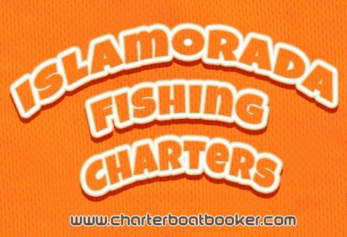Hop over to this website https://www.charterboatbooker.com/location/united-states/florida/islamorada-fishing-charters/ for more information on Islamorada Fishing Charters. It's a good idea to speak personally with your guide well before your trip and to check in with him again a few days prior. Make sure he's clear on what you want from your trip. Be honest about your goals.  A good Islamorada Fishing Charters Guide will know the best waters to fish for your purposes. He will be able to get your there safely and with a minimum of fuss.
Follow us http://gulfshoresfishingcharters.bravesites.com/