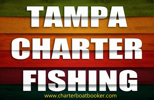 Click this site https://www.charterboatbooker.com/location/united-states/florida/tampa-fishing-charters/ for more information on Tampa Charter Fishing. A practical way to look for the right Tampa Charter Fishing is to check with bait shops and local marinas. These places know well enough what your fishing needs require you to have for your charter experience. Another way is to go to the docks to be able to examine the coming and going of charters. With this, you can have an idea about how it goes for that charter.
Follow us http://uid.me/GulfShoresFishing
