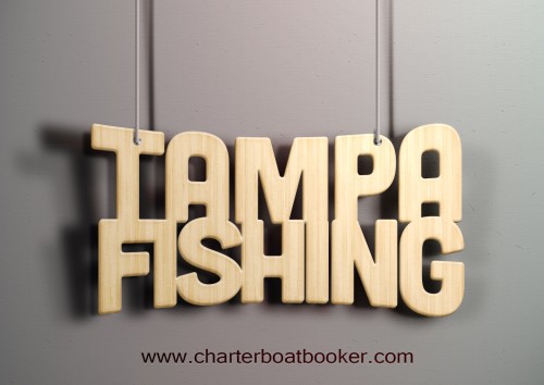 Pop over to this web-site https://www.charterboatbooker.com/location/united-states/florida/tampa-fishing-charters/ for more information on Tampa Fishing. Many of us can remember going Tampa Fishing as youths and coming home with the "big" catch of the day. Frying up one's catch and enjoying a good meal was a great end to a perfect day of fishing. While it is perfectly acceptable to enjoy ones catch for dinner, fishing itself has changed in the last two decades. Catch and release is now a widely used method and it is not any more difficult than catch and keep. If you are wondering just how to go about switching to catch and release fishing, here are some tips that you will find helpful.
Follow us https://penzu.com/public/a478cd23