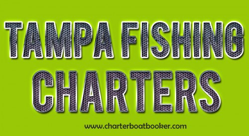 Have a peek at this website https://www.charterboatbooker.com/location/united-states/florida/tampa-fishing-charters/ for more information on Tampa Fishing Charters. Most of the times chartering a boat for your fishing activity can be quite difficult because of a lot of factors and one of them is the season. There are some seasons where almost all Tampa Fishing Charters are booked and you can't hire even one of them. Once you have chosen a particular service provider, do not forget to set an appointment with the captain in order for you to decide on your specific needs. With the right fishing charter guiding you, expect having the best experience as you take the trip that you deserve.
Follow us http://www.mywedding.com/fortmorganfishingguide/