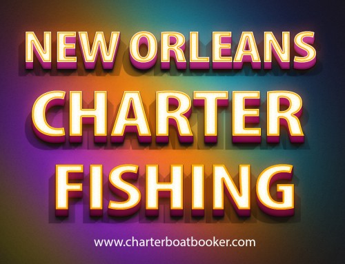 Click this site https://www.charterboatbooker.com/location/united-states/louisiana/new-orleans-fishing-charters/ for more information on New Orleans Charter Fishing. When the prime fishing season arrives, local captains will switch careers and focus on fishing. Once the tourism season is over, they go back to whatever it is they do the other half of the year. There is nothing wrong with that and it does not impact a New Orleans Charter Fishing ability to catch fish or provide an outstanding experience for their customers. Full-time charter captains are often under immense pressure to “pay the bills” and will fish any condition at any time.
Follow us http://gulfshorescharterboats.blogspot.com/
https://sites.google.com/site/orangebeachcharterfishing/
https://plus.google.com/communities/113196294475656804312
http://gulfshoresfishing.beep.com/
https://sites.google.com/site/gulfshoresfishingtrip/