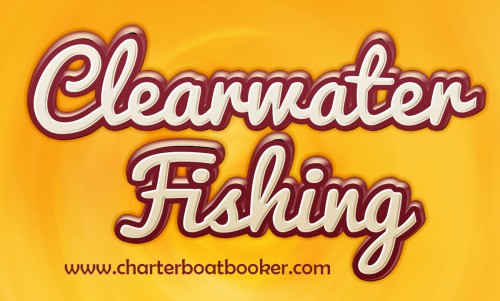 Browse this site https://www.charterboatbooker.com/location/united-states/florida/clearwater-charter-boats/ for more information on Clearwater Fishing. There are plenty of reasons why joining one of the fishing charters in Clearwater makes good economic sense. You don't have to buy any special equipment. You don't have to trailer your own boat and pay expensive marina mooring fees. You have a much greater chance of realizing Clearwater Fishing success which means you get more benefit for the money you do spend on your fishing vacation.
Follow us https://www.facebook.com/CharterBoatBooker
https://plus.google.com/communities/114030763697618723294
https://gulfshorescharterfishing.wordpress.com/
http://gulfshorescharterboats.blogspot.com
http://fishingingulfshores.page.tl/