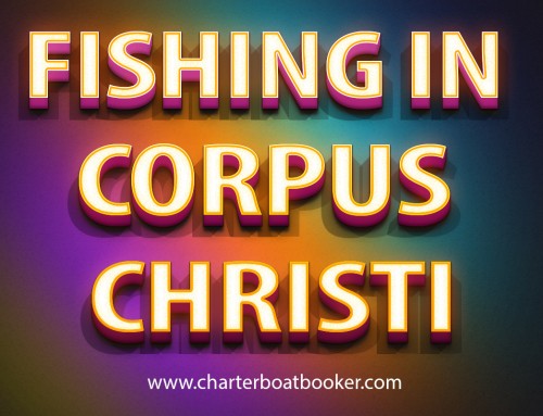 Look at this web-site https://www.charterboatbooker.com/location/united-states/texas/corpus-christi-fishing-charters/ for more information on Fishing In Corpus Christi. Fishing offers a thrilling fishing experience for everyone. Here you can fish in some of the most exotic waters where you can catch some really 'big fish. Many fishing charters in Corpus Christi offer prime opportunity for thrilling fishing for anglers from all over the world. Those coming here for sport fishing hire fishing charters and guides because they can enjoy the best fishing experience when using a charter service. Most people prefer to Corpus Christi fishing; however, some of them may have interest in catching other types of fish species as well, such as lingcod and snapper.
Follow us https://sites.google.com/site/gulfshoresoffshorefishing/
http://gulfshorescharterboats.dudaone.com/
http://perdidokeydeepseafishing.snack.ws/
https://sites.google.com/site/gulfshoresfishingtrip/