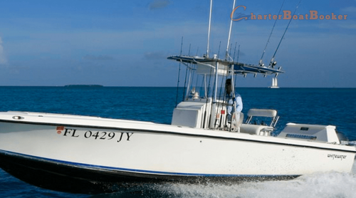 There are many professional guides and captains in Key West Fishing charters, and tackle that one can take advantage of in order to catch that monster. These guides and captains know exactly where the fish are and this will most assuredly increase your chances on landing the big one. There are basic area's that are broken down and consist of Key West fishing locations. There are fishing charters in each and every one of them too. Browse this site https://www.charterboatbooker.com/location/united-states/florida/key-west-fishing-charters/ for more information on Key West Fishing. follow us : https://goo.gl/mFjhw9
https://goo.gl/7KZ7tP

https://goo.gl/dLZ0tl

https://goo.gl/C9kUuE

https://goo.gl/4Jyxmx