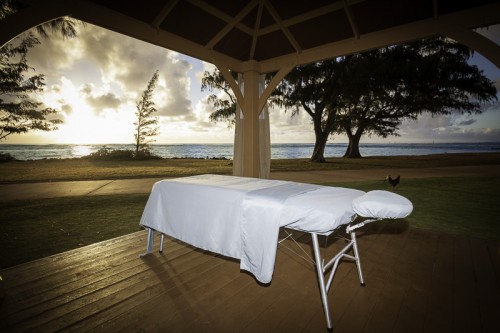 our website :https://www.elevatehealthy.com
For those of us who practice massage, professionally or as an amateur it is clear that massage is very important to us. The more Kauai massage we perform a day the happier, more experienced and better off we will be. In short, massage is often crucial to our well-being and career.
more links :https://start.me/p/WaK9Mn/massages-in-kauai
https://www.crunchbase.com/organization/beachside-massage-and-spa-kauai
https://www.clippings.me/users/kauaimassage