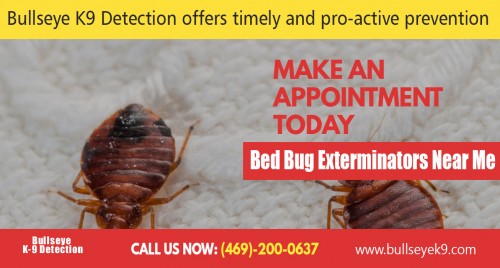 Our website :http://www.bullseyek9.com
There are many options available for bed bug extermination. You can choose anyone of the sprays available out there to kill bed bugs. General consensus is that these work well when combined with steam cleaning as long as you follow the directions closely. They are available in natural or chemical forms. The natural of course is the green safer version for use around your pets and children. The chemical form is exactly as it sounds. Affordable bed bug exterminator Dallas cost can be your best option.  
more links :http://bedbugsremoval.wowcity.com/
http://frippo.com/bed-bug-treatment/2791.html
http://twitxr.com/bedbugremoval