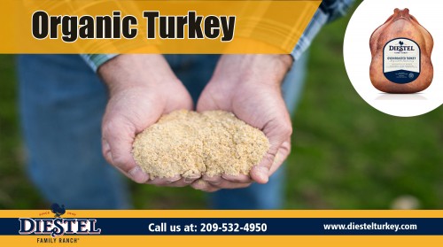 Organic Turkey raised the right way for superior taste AT https://diestelturkey.com
Find Us: https://goo.gl/maps/a6pxmNFdG8z
Deals in .....
smoked turkey breast

roasted turkey
organic turkey
best turkey

where to buy fresh turkey

It is important to prepare your turkey at a sufficiently high temperature so it is safe to consume, however beware not to overcook it. Although Organic Turkey roasting graphes are basic estimations generally, many recipes for entire roasted turkeys require an oven temperature in between 325 ° and also 375 ° F. Using these modest temperature levels make certain the most also cooking throughout the bird, a lot more so when the bird is stuffed. Some recipes describe high-roast turkey prepared at a very high 500-450ºF. High roast turkeys might render crisp and crusty breast skin, but the meat might have the tendency to become a bit completely dry throughout toasting.

Add : 22200 Lyons Bald Mountain Rd, Sonora, CA 95370, USA
Phone: 209-532-4950
E-Mail: info@diestelturkey.com
hours : Mon To Fri : 9AM–4PM
Social---
https://kinja.com/smokedturkeybreast
http://www.facecool.com/profile/roastturkey
http://ttlink.com/smokedturkey