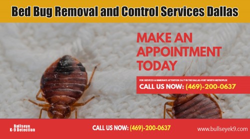 Bed bug removal and control services Dallas to help the customer AT http://www.bullseyek9.com/bed-bug-control-Dallas/
Find us on Google Map : https://goo.gl/maps/kyMhBuKRHZ42
Deals In  : 
Bed bug removal and control services dallas
Bed bug control dallas
bed bug pest control dallas
bed bug control services in dallas texas

Bed bug control may sound pretty easy at the outset, but in fact it is a tricky process that requires a well-planned strategy. The pesky bugs love to suck human blood and exhibit various adverse health effects including skin rashes, itching and allergic reactions. These blood sucking organisms can be a real nuisance in your home and that is why bed bug removal and control services Dallas is necessary.

Add: Frisco, TX, USA
Contact Us To Schedule An Appointment 469-200-0637 
Mail : john@bullseyek9.com 
WOrking hours : Mon to Fri : 8:00am to 6:00pm
Social--- 
http://www.i-m.mx/Killbedbugs/Bedbugremoval/dallas-k9-detection.html
https://www.thinglink.com/BedBugRemoval
http://bedbugremoval.soup.io/