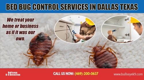 Bed bug exterminators near me with variety of treatments including natural process AT http://www.bullseyek9.com/bed-bug-exterminator-dallas/
Find us on Google Map : https://goo.gl/maps/kyMhBuKRHZ42
Deals In  : 
bed bug exterminators near me
Bed bug exterminator dallas
bed bug exterminator dallas cost
bed bug exterminator dallas texas

Eliminating bed bugs has always been a major concern in most households. This is because bed bugs, besides being very unsightly, also create a bite in the human skin that can be very itchy and invasive. Sometimes it even leaves prominent skin marks like a real skin disease. Once a house is infested with the bugs, then bed bug exterminators near me can be your best option. This is because they easily reproduce and are very fleeting. They hide in many places and transport themselves through crawling. Because they can be carried anywhere, they unceasingly multiply.

Add: Frisco, TX, USA
Contact Us To Schedule An Appointment 469-200-0637 
Mail : john@bullseyek9.com 
WOrking hours : Mon to Fri : 8:00am to 6:00pm
Social--- 
http://www.alternion.com/users/bedbugexterminator/
http://ttlink.com/bedbugdetector
http://www.apsense.com/brand/bullseyek9