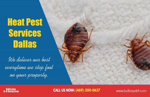 Locate best pest solutions with bed bug control Dallas AT http://www.bullseyek9.com/bed-bug-control-Dallas/
Find us on Google Map : https://goo.gl/maps/kyMhBuKRHZ42
Deals In  : 
Bed bug removal and control services dallas
Bed bug control dallas
bed bug pest control dallas
bed bug control services in dallas texas

The decision to call bed bug control Dallas professional should be made when you feel you can do no more in your war against these vicious pests. For some of you, that time may come sooner rather than later. There is no shame in calling a professional for help. These little pests can hide out for a year without needing to feed. You might think you have eradicated them, but then you find yourself in the middle of an infestation again.

Add: Frisco, TX, USA
Contact Us To Schedule An Appointment 469-200-0637 
Mail : john@bullseyek9.com 
WOrking hours : Mon to Fri : 8:00am to 6:00pm
Social--- 
http://www.pearltrees.com/getridofbedbugs
http://prsync.com/bed-bug-control-dallas/
http://bedbugservicedfw.freeblog.biz/