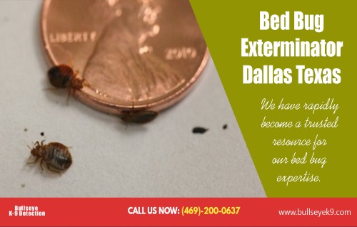 Find low-rate treatments with bed bug exterminator Dallas cost AT http://www.bullseyek9.com/bed-bug-exterminator-dallas/
Find us on Google Map : https://goo.gl/maps/kyMhBuKRHZ42
Deals In  : 
bed bug exterminators near me
Bed bug exterminator dallas
bed bug exterminator dallas cost
bed bug exterminator dallas texas

There are many options available for bed bug extermination. You can choose anyone of the sprays available out there to kill bed bugs. General consensus is that these work well when combined with steam cleaning as long as you follow the directions closely. They are available in natural or chemical forms. The natural of course is the green safer version for use around your pets and children. The chemical form is exactly as it sounds. Affordable bed bug exterminator Dallas cost can be your best option.  

Add: Frisco, TX, USA
Contact Us To Schedule An Appointment 469-200-0637 
Mail : john@bullseyek9.com 
WOrking hours : Mon to Fri : 8:00am to 6:00pm
Social--- 
https://www.diigo.com/profile/bedbugremoval
http://followus.com/bedbugexterminator
http://en.gravatar.com/bestbedbugremoval