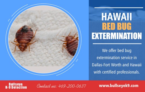 Hawaii bed bug services expert will inspect and treat your property at http://www.bullseyek9.com/services/hawaii-bed-bug-extermination/

Find us:

https://goo.gl/maps/uzWd8xPM8A32

There are some ways to get rid of these insects. Using chemicals is one way, but care should be taken if there are children and pets in the vicinity. To begin, all soft furnishings and bedding should be removed and placed into plastic bags which should then be sealed. Hawaii bed bug services expert will ensure that the bugs are not transported to any other rooms.

Deals In:

hawaii bed bug extermination control & services
bed bug exterminator hawaii 
hawaii bed bug services
hawaii bed bug control 
hawaii bed bug extermination

Add: 

Frisco, TX, USA

call us  : 469-200-0637
Mail   :  john@bullseyek9.com

WOrking Hours 
 : 
Mon to Fri  :  8:00am to 6:00pm

Follow on Social Media:

https://www.facebook.com/Bulls-Eye-K9-Detection-1939638712938556/
https://twitter.com/Bedbugsremoval
https://www.instagram.com/bedbugdetector
https://www.pinterest.com/Bedbugsremoval/
https://www.youtube.com/channel/UC9X-tv139TEjTuWfIrevYeg
https://plus.google.com/u/0/101417159770663203427
https://www.flickr.com/photos/bedbugremoval/