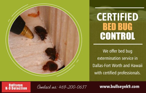 Certified bed bug exterminator & treatment service to eliminate the pests rapidly at http://www.bullseyek9.com/

Find us:

https://goo.gl/maps/uzWd8xPM8A32

Bed bugs are unpredictable. No matter how much you clean your room, you can never be sure that there aren't any pestering bugs in there until they start to bite you while you're sleeping. Even the cleanest hotels can sometimes have bed bugs. The fact is, insects are prevalent among ordinary households, and they can be difficult to get rid of. Sure, you can always opt for certified bed bug exterminator & treatment service.


Deals In:

certified bed bug exterminator & treatment service
bed bug exterminator
bed bug treatment
bed bug service
certified bed bug control

Add: 

Frisco, TX, USA

call us  : 469-200-0637
Mail   :  john@bullseyek9.com

WOrking Hours 
 : 
Mon to Fri  :  8:00am to 6:00pm


Follow on Social Media:

https://www.facebook.com/Bulls-Eye-K9-Detection-1939638712938556/
https://twitter.com/Bedbugsremoval
https://www.instagram.com/bedbugdetector
https://www.pinterest.com/Bedbugsremoval/
https://www.youtube.com/channel/UC9X-tv139TEjTuWfIrevYeg
https://plus.google.com/u/0/101417159770663203427
https://www.flickr.com/photos/bedbugremoval/