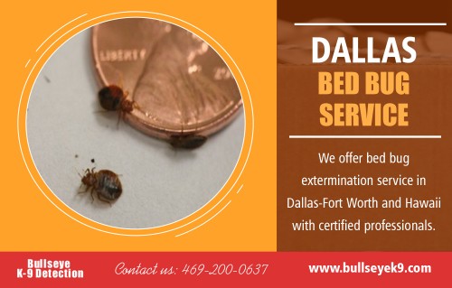 Dallas bed bug service expert will kill insect eggs hiding in your bedding at http://www.bullseyek9.com/services/dallas-fort-worth-bed-bug-extermination/

Find us:

https://goo.gl/maps/uzWd8xPM8A32

Dallas bed bug service treatment has a multi-step plan for killing such pests, and they have the tools and equipment to do it. They know and understand the various treatment options that will serve you best. Also, the companies offer a few years guarantee of their work. They should also be able to teach you how to block and treat a future infestation. Prevention is more important than the treatment process itself. Keep your room tidy and make sure you check for cracks and crevices on a periodic basis so you can do all necessary repairs to keep bugs from infesting areas in your house.


Deals In:

Fort Worth & Dallas bed bug extermination
bed bug exterminator dallas
dallas bed bug service
dfw bed bug removal
fort worth bed bug extermination

Add: 

Frisco, TX, USA

call us  : 469-200-0637
Mail   :  john@bullseyek9.com

WOrking Hours 
 : 
Mon to Fri  :  8:00am to 6:00pm

Follow on Social Media:

https://www.facebook.com/Bulls-Eye-K9-Detection-1939638712938556/
https://twitter.com/Bedbugsremoval
https://www.instagram.com/bedbugdetector
https://www.pinterest.com/Bedbugsremoval/
https://www.youtube.com/channel/UC9X-tv139TEjTuWfIrevYeg
https://plus.google.com/u/0/101417159770663203427
https://www.flickr.com/photos/bedbugremoval/