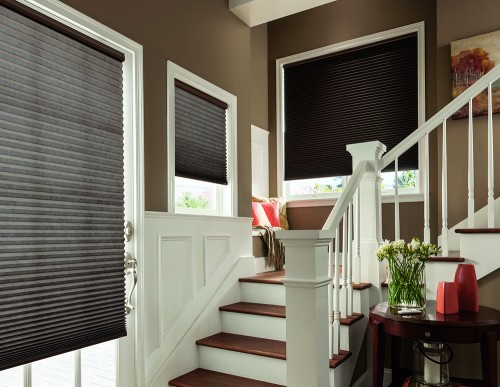 Come and experience a vast range of stylish Cellular Shades & Blinds, Honeycomb Blackout Shades in Ontario, CA. 100% satisfaction guaranteed. Huge selection of colors.

Source: https://www.simplyblinds.co/cellular-shades-blinds/