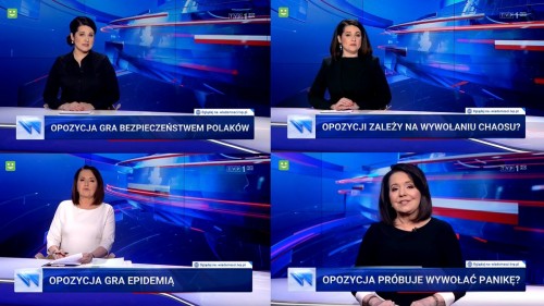 Polska TV o opozici