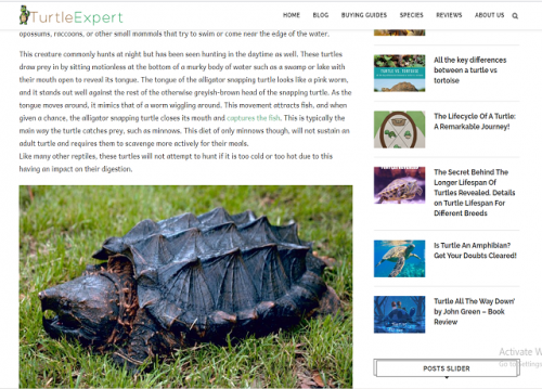 For the turtle, this is the best offer. If you reside in Kansas ALLIGATOR SNAPPING TURTLE, the probabilities are you have never seen an Alligator Snapping Turtle in the wild. 
#ALLIGATORSNAPPINGTURTLE

Web: http://www.turtleexpert.com/everything-you-need-to-know-about-alligator-snapping-turtle/