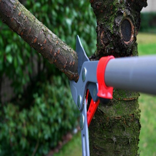 The major advantages to hiring a tree removal service arborist hamilton include hiring a reputed company having much experience in pruning or removing a tree completely will not only save you time, but also help in minimizing your effort to clean the land. A good company will also encourage and guide you to plant more trees to replace the old ones and avoid any environmental consequences. Are you sick and tired with the tree that is standing still on your yard? Are you having a hard time to think of a way to get rid of the tree of taking care of your lawn. It seems that cutting a tree is very simple and easy. But what you don't know about it is it requires proper knowledge and training in performing this task. Tree cutting services contractors have enough experience in cutting the trees. Measurements are also being taken to consideration. You need to make sure that when the tree falls, it will be on the exact angle which no one or nothing will be affected.
Hiring a company or contractor that specializes in tree cutting services is not just as simple as it looks like. You are risking your life and your family's life especially when you are about to cut a huge tree on your yard. The experts take the measurements and carefully cut the tree according to their training. Even the most experienced tree cutter can also make a mistake. And one mistake can risk his life, the life of your neighbors and your own family. See to it that the arborist hamilton you are going to hire are on the industry for a period of time already. This can prove the efficiency of their works.

Your yard can reflect on how you live your life. And of course, you want it to be the best it can be. A tree can definitely ruin the design that you are trying to contemplate on for your yard. That's why tree cutting services are being offered. For your convenience, you can search the internet and check how much they charge and how tough can they work. Once you have chosen the right company by which your standards are being met, that's the time to start working for a finer and more presentable lawn you are dreaming for. But wait, after the tree cutting services, it is not done yet. The stump will be left making it much more irritating to the eyes. Right after they are finish cutting the tree, they will proceed right away in removing the stump by arborist matamata. Ask to see his liability certificates as well as the workman's compensation insurance. All the documents must be current. Do not be afraid to contact the insurance company to verify the accuracy of the policy information. Precautions Tree removal is always risky. It can be messy if proper care is not taken. Therefore, before the arborist matamata gets to work, ask him how he plans on dealing with imminent challenges. 

For More Info:- https://treetechnz.co.nz/
https://www.postyourfreeads.com/services/other-services/outstanding-tree-removal-in-hamilton_i38500
https://posthereads.com/556/posts/3/27/861997.html
https://www.citygratis.com/newzealand/services/189830-tree-services-in-rotorua.html
