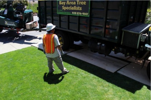 Bay Area Tree Specialists
541 W Capitol Expy #287
San Jose CA 95136
(408) 836-9147

https://bayareatreespecialists.com/services/emergency-tree-removal-service-…