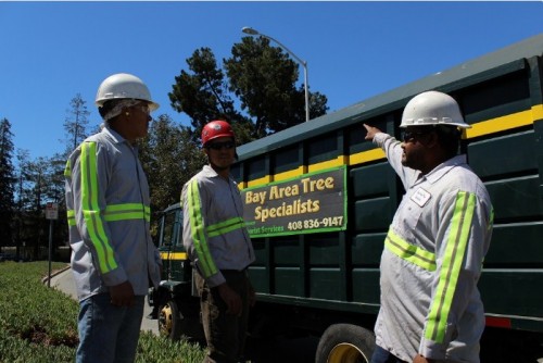 Bay Area Tree Specialists
541 W Capitol Expy #287
San Jose CA 95136
(408) 836-9147

https://bayareatreespecialists.com/commercial-tree-services-san-jose-ca/