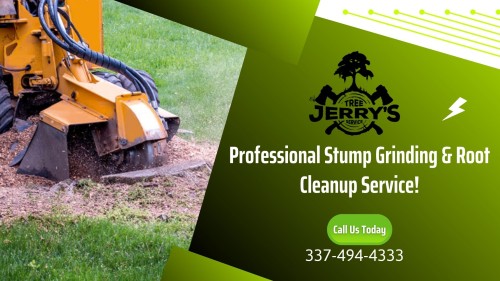 Looking for a reliable stump grinding company? Leaving a tree unchecked can be more dangerous. For all the tree grinding, managing, fertilization, and pruning, specialists at Jerry's Tree Service will take care of you. Our particular grinding equipment can trim stumps until the expected depth is accomplished. For more details, call @ 337-494-4333! We help get rid of stumps, utilizing the right procedures and proven techniques.