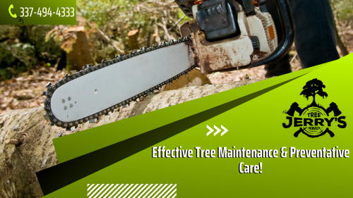Looking to trim your trees? We offer complete tree removal and maintenance services, including stump grinding, tree removal, trimming, pruning, and tree health care. So, if you are searching for quality tree services, contact Jerry's Tree Service @ 337-494-4333 today!