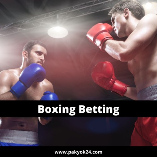 You might be interested in how to place your wagers on boxing matches if sports betting is something you are passionate about. It is important to do your research on the boxing match before you place your bets. Before betting, ensure you have thoroughly researched the match and all statistics.

https://www.pakyok24.com/