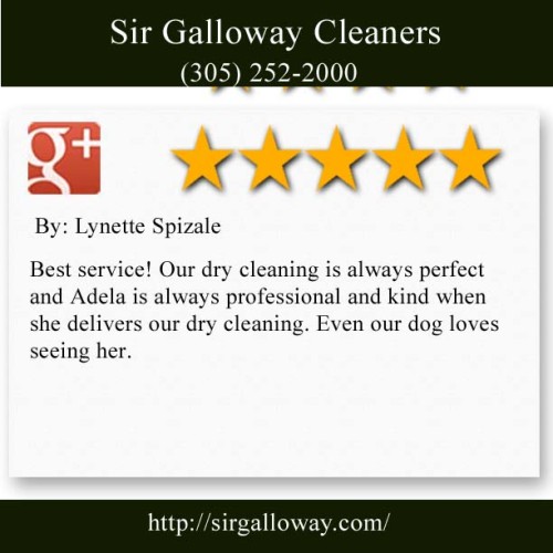 Sir Galloway Cleaners
13007 SW 87th Avenue
Miami, FL 33176
(305) 252-2000

http://sirgalloway.com/services/wedding-gowns-heirlooms/