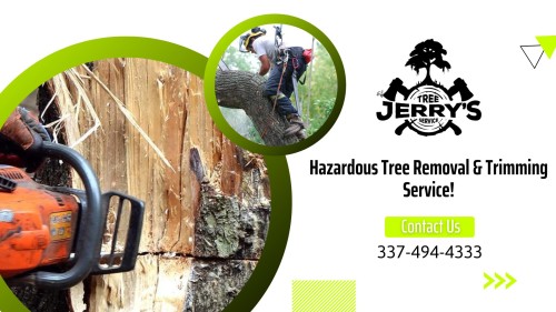 Are you worried about the health of the trees? Jerry's Tree Service can help with pruning, tree trimming, cable bracing, and other residential tree care services in your backyard. For more details, call @ 337-494-4333! We use the latest equipment to hard-to-reach tall trees.