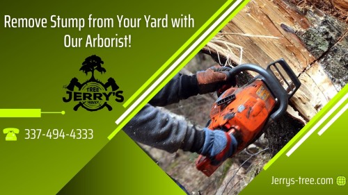 If you need tree trimming, removal or any other tree health care service, contact Jerry's Tree Service! We have decades of experience in safely and efficiently removing trees. Our skilled and trained tree trimmers can safely prune trees of any size to structure, shape young trees, preserve and protect mature trees. For more details, call @ 337-494-4333!