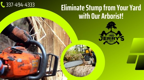 If you are having difficulty with your trees, you need to have a tree service come and assist you. Jerry's Tree Service has the equipment to provide lot clearing and stump grinding and offer you complete tree service. For more details, call @ 337-494-4333!