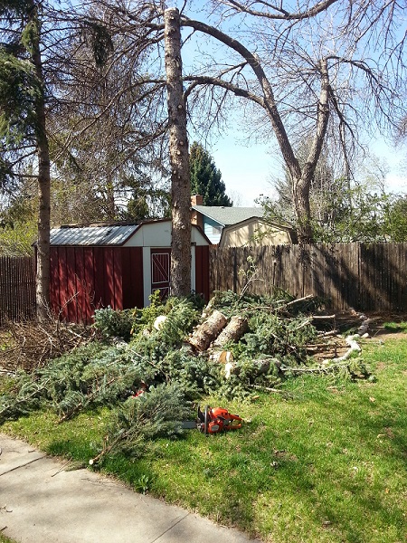 Mountview Tree Experts

1281 E Magnolia St D-272 Fort Collins Colorado 80524 United States of America
9702182661
info@mountviewtree.com
https://mountviewtree.com

We are a small, locally-owned tree service in northern Colorado. Our service area includes Fort Collins, Loveland, and Windsor. Our services include tree removal, tree trimming, stump grinding & shearing. We are licensed, insured and hold the ISA Certified Tree Worker certification.
