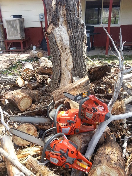 Mountview Tree Experts

1281 E Magnolia St D-272 Fort Collins Colorado 80524 United States of America
9702182661
info@mountviewtree.com
https://mountviewtree.com

We are a small, locally-owned tree service in northern Colorado. Our service area includes Fort Collins, Loveland, and Windsor. Our services include tree removal, tree trimming, stump grinding & shearing. We are licensed, insured and hold the ISA Certified Tree Worker certification.
