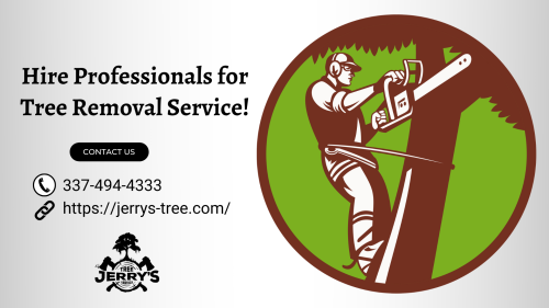 Stay away from enormous damages and injuries to your foundation and driveways by removing the dead trees. We deliver the top-notch and hassle-free tree removal procedure to pull out the unnecessary annoyance from your head. Hand over the overall project to our experts for a full-fledged finish. Visit  Jerry's Tree Service for more information.