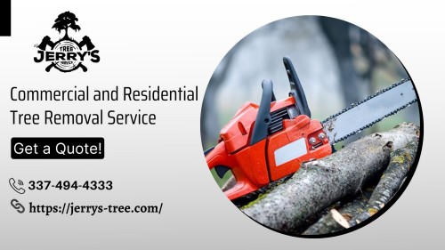 Choose a licensed tree removal service like Jerry's Tree Service that provides a comprehensive range of assistance, including pruning, trimming, and disposing of those unwanted or messy bushes. We are the best-of-breed company that strives to offer good-looking surroundings and make your home hassle-free. Get in touch with us!