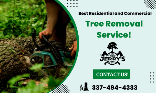 Are you preparing to have a plot of land cleared for new construction work? Jerry's Tree Service provides safe and proper removal, trimming, pruning, and maintenance of high-risk trees. Call 337-494-4333 for a FREE estimate. We are trained and equipped to solve your tree issues!