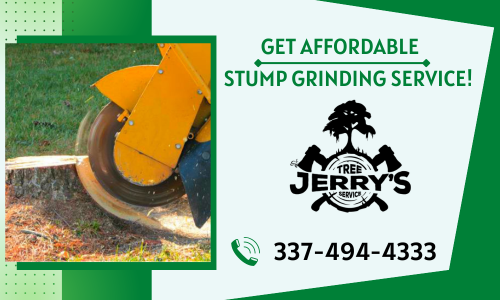 Do you need professional tree services? Modern tools are used by Jerry's Tree Service to rapidly and efficiently grind stumps from your property. Our happy clients will always be our most valuable asset. Call us right away!