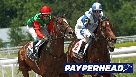Are you looking for a company that offers Pay Per Head free trial? Check out PayPerHead Sportsbook! We offer the best services and prices in the industry. We have a team of experts that are available 24/7 to help you with all your Pay Per Head needs. We have the latest in sports betting technology, including a mobile app that makes betting on the go easier than ever. Contact us today to get started!

For more info:-https://payperheadsportsbook.com/