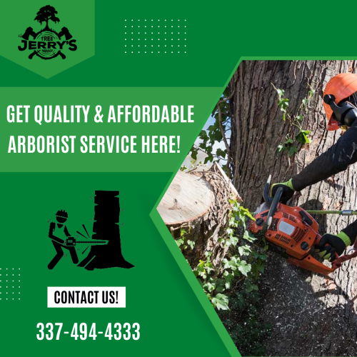 Looking for an arborist service? Jerry's Tree Service is the tree expert in Lake Charles, specializing in trimming, pruning, removal, and stump grinding services. Future problems that go unchecked can lead to weakening, increasing the likelihood of it falling, and even death of the tree. Don't let your tree be butchered! Keep it healthy by letting our experienced arborist take care of it the right way. Contact us now to get more information!