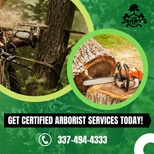 If your trees are unchecked can lead to weakening, increase falling, and even death of the tree. Keep it healthy by hiring our experienced arborist at  Jerry's Tree Service. We offer complete tree removal and maintenance services, including stump grinding, tree removal, trimming, pruning, and tree health care. So, if you are searching for quality tree services, contact Jerry's Tree Service @ 337-494-4333 today!