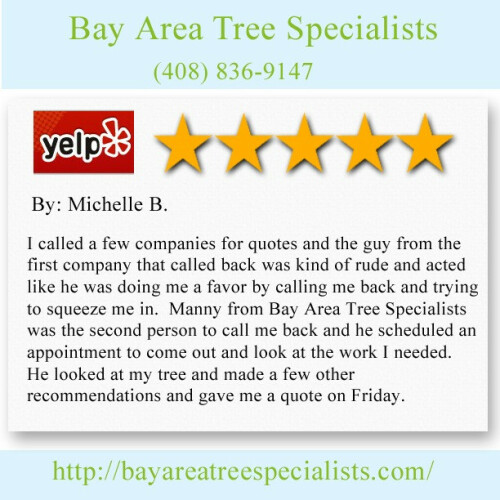 Bay Area Tree Specialists
541 W Capitol Expy #287,
San Jose CA 95136
(408) 836-9147

http://bayareatreespecialists.com/tree-removal-san-jose/