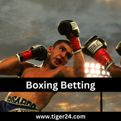 Boxing betting can be an enjoyable hobby for people who like the thrill of watching a good fight. But, it can also be a money-draining activity. For that reason, it's important to choose an online sports bookie carefully. A good site will offer a variety of promotions and rewards programs for entice new customers.

https://tiger24.com/%E0%B9%81%E0%B8%97%E0%B8%87%E0%B8%A1%E0%B8%A7%E0%B8%A2%E0%B8%AD%E0%B8%AD%E0%B8%99%E0%B9%84%E0%B8%A5%E0%B8%99%E0%B9%8C/