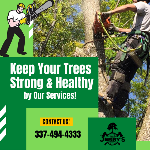Jerry's Tree Service is a licensed arborist to provide proper tree health care, including tree removal of decaying or damaged trees, stump grinding, tree trimming, pruning, and guide our clients of proper tree maintenance. We also recommend tree trimming and pruning to maintain safety, improve structure and health, satisfy customer goals, and make trees aesthetically pleasing. For more details, call @ 337-494-4333!
