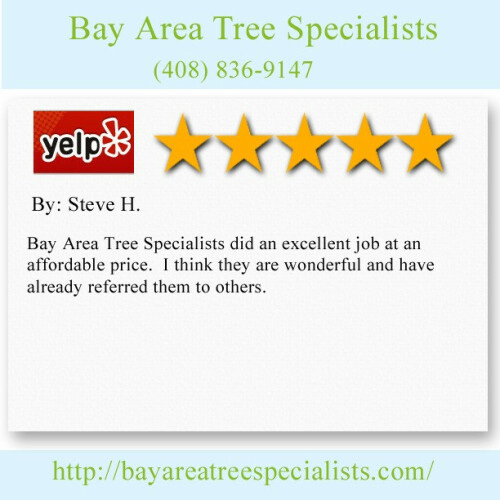 Bay Area Tree Specialists
541 W Capitol Expy #287,
San Jose CA 95136
(408) 836-9147

http://bayareatreespecialists.com/tree-care-san-jose/