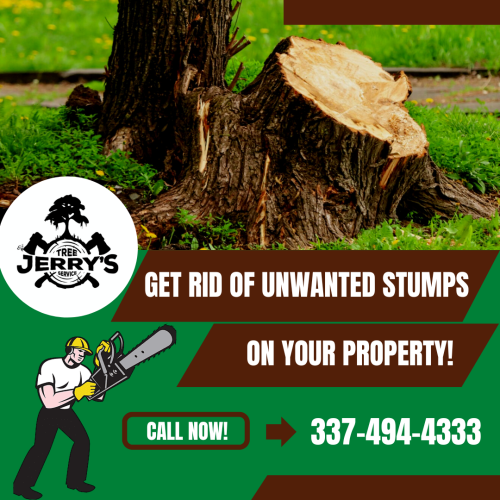 Searching for a reliable stump removal company? Leaving a hazardous tree unchecked can be more risky. For all the tree trimming, fertilization, pruning and removal needs, experts at Jerry's Tree Service will help you out. Our specialized grinding equipment can shave stumps until the required depth is achieved. For more details, call @ 337-494-4333! We help get rid of stumps, using the right techniques and proven methods.