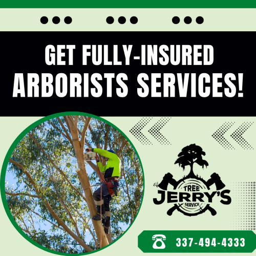 Jerry’s Tree Service provides comprehensive arborist service to handle all your tree care needs. We understand the common challenges you face with regional climate conditions and common pests and diseases. Our trained experts assess the condition of trees, provide diagnoses, and offer recommendations for proper care. Get in touch with us!