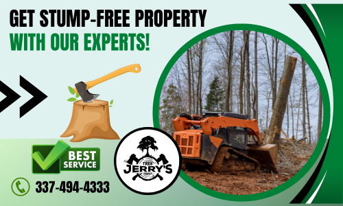 At Jerry’s Tree Service, our commitment to quality and customer satisfaction has built us a long-standing reputation for stump removal for both residential and commercial properties. Our team of highly skilled employees has all been personally trained. We pride ourselves in providing the best services, at affordable prices. Give us a call today!